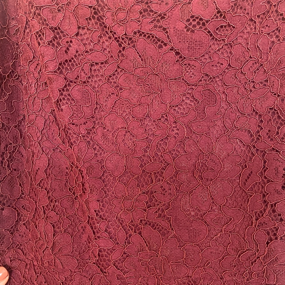 Beautiful Garnet Lace Express Dress with Tag Size XS